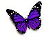 The Optimum Reflexology Difference. butterfly2